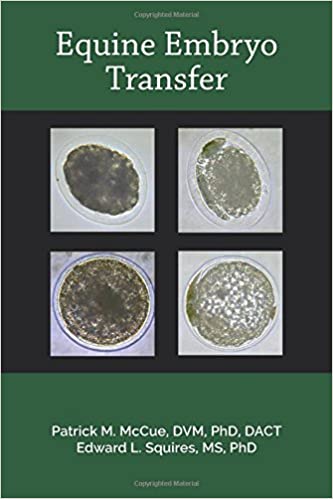 Equine Embryo Transfer