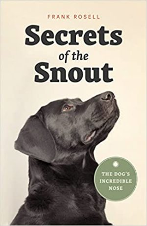 Secrets of the Snout The Dogs Incredible Nose