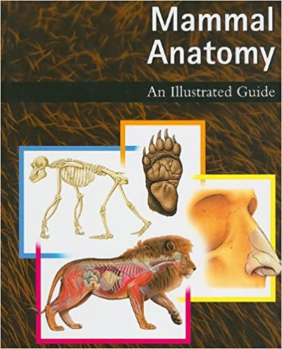 Mammal Anatomy An Illustrated Guide