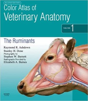Color Atlas of Veterinary Anatomy Volume 1 The Ruminants