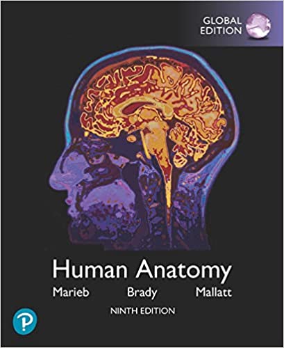 Human Anatomy 9th Edition By Elaine N Marieb