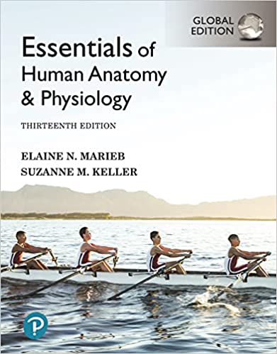 Essentials of Human Anatomy & Physiology 13th Edition By Elaine Marieb