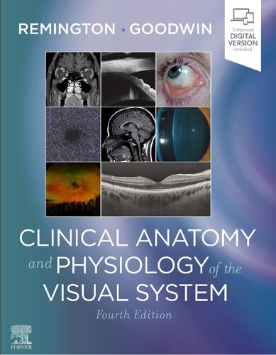 Clinical Anatomy and Physiology of the Visual System 4th Edition
