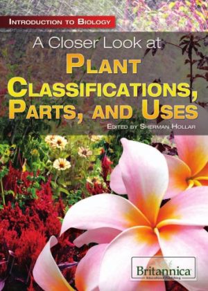 A Closer Look at Plant Classifications Parts and Uses