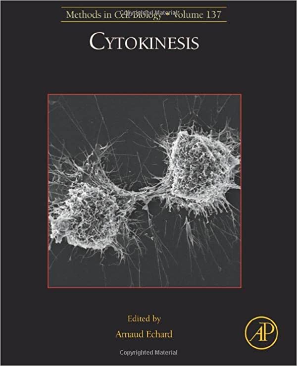 Cytokinesis