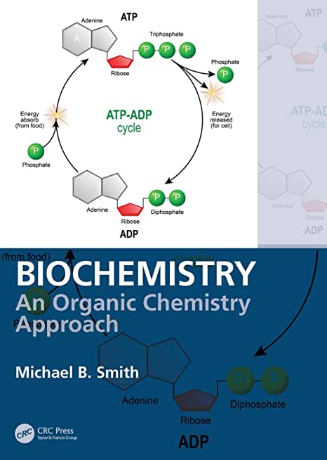 Biochemistry An Organic Chemistry Approach
