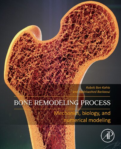 Bone Remodeling Process Mechanics Biology and Numerical Modeling