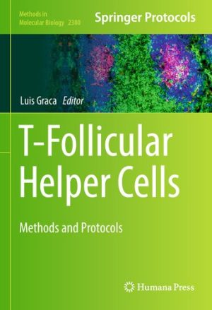 T Follicular Helper Cells Methods and Protocols