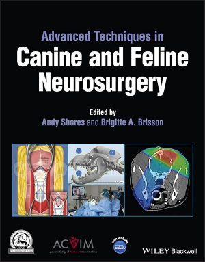 Advanced Techniques in Canine and Feline Neurosurgery