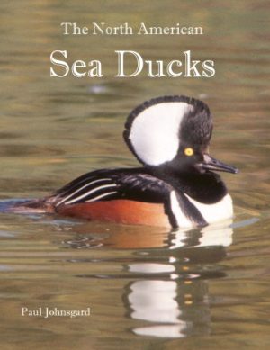 The North American Sea Ducks Their Biology and Behavior