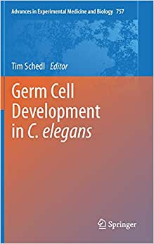 Germ Cell Development in C elegans