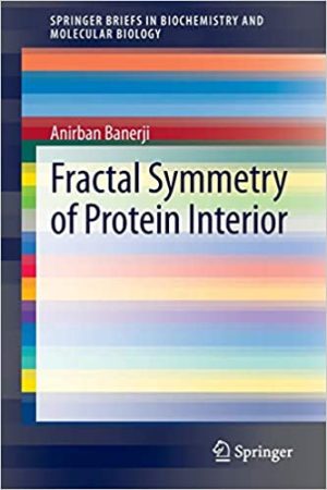 Fractal Symmetry of Protein Interior