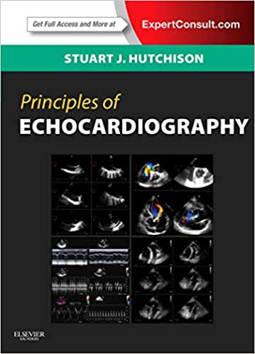 Principles of Echocardiography and Intracardiac Echocardiography