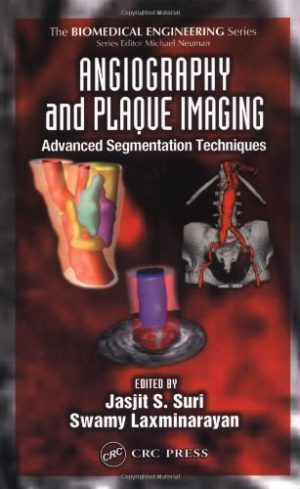 Angiography and Plaque Imaging Advanced Segmentation Techniques